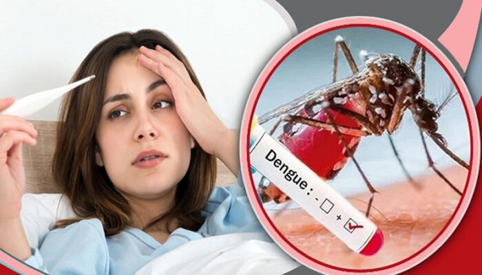 ডেঙ্গুতে আরও দুইজনের প্রাণহানি, হাসপাতালে ২৭৮