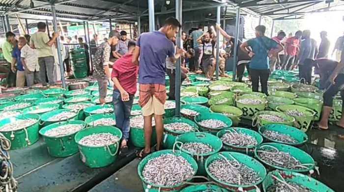 কাপ্তাই হ্রদ উন্মুক্ত; জালে ধরা পড়ছে ঝাঁকে ঝাঁকে মাছ